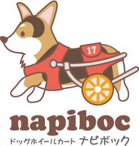 napiboc-logo1